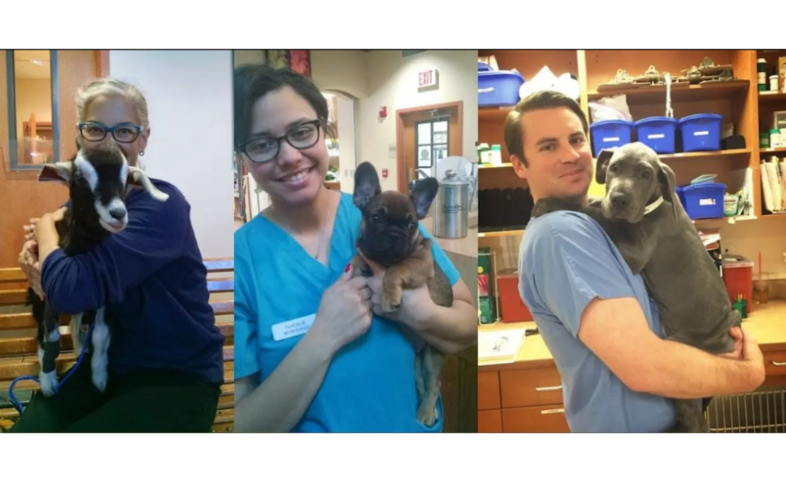 Metairie Small Animal Hospital (MSAH) - Kenner Clinic Staff Members Holding Animals